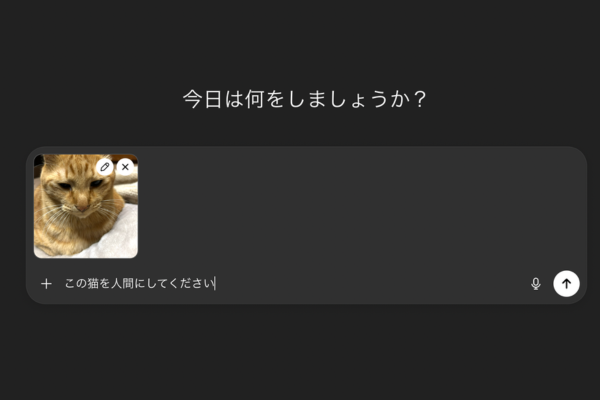 この猫を人間にしてください　というプロンプト画像