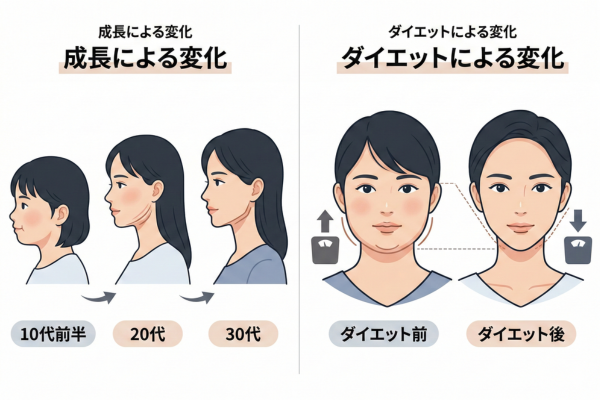 成長やダイエットで輪郭の変化が起こる図解画像